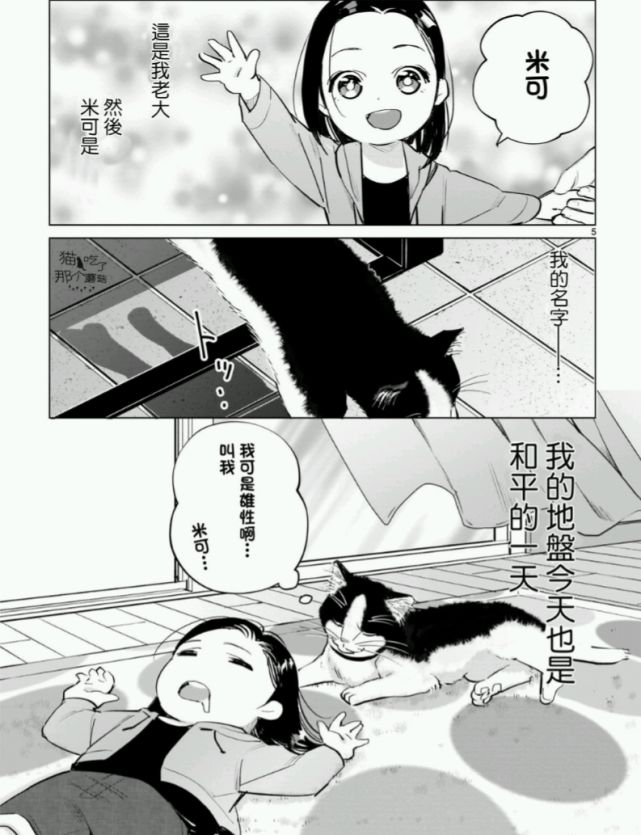 玩猫里奥的视频_猫里奥在线玩_猫里奥网页