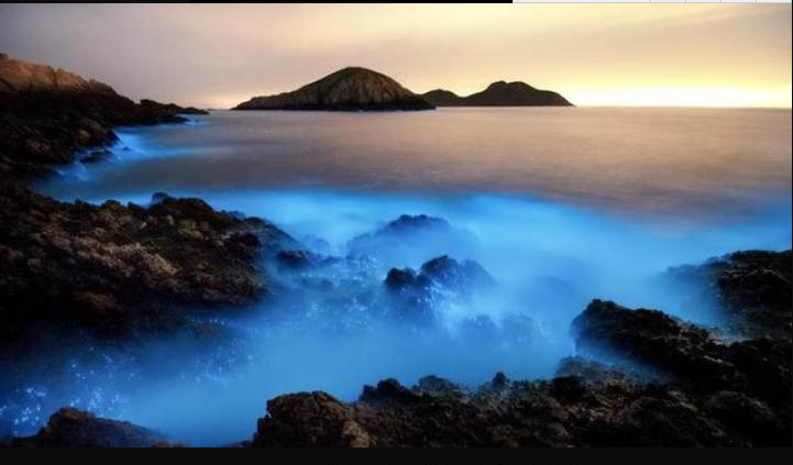 原神海螺礁石与幻象_原神幻境海螺位置_qq炫舞仙灵幻境卜算神