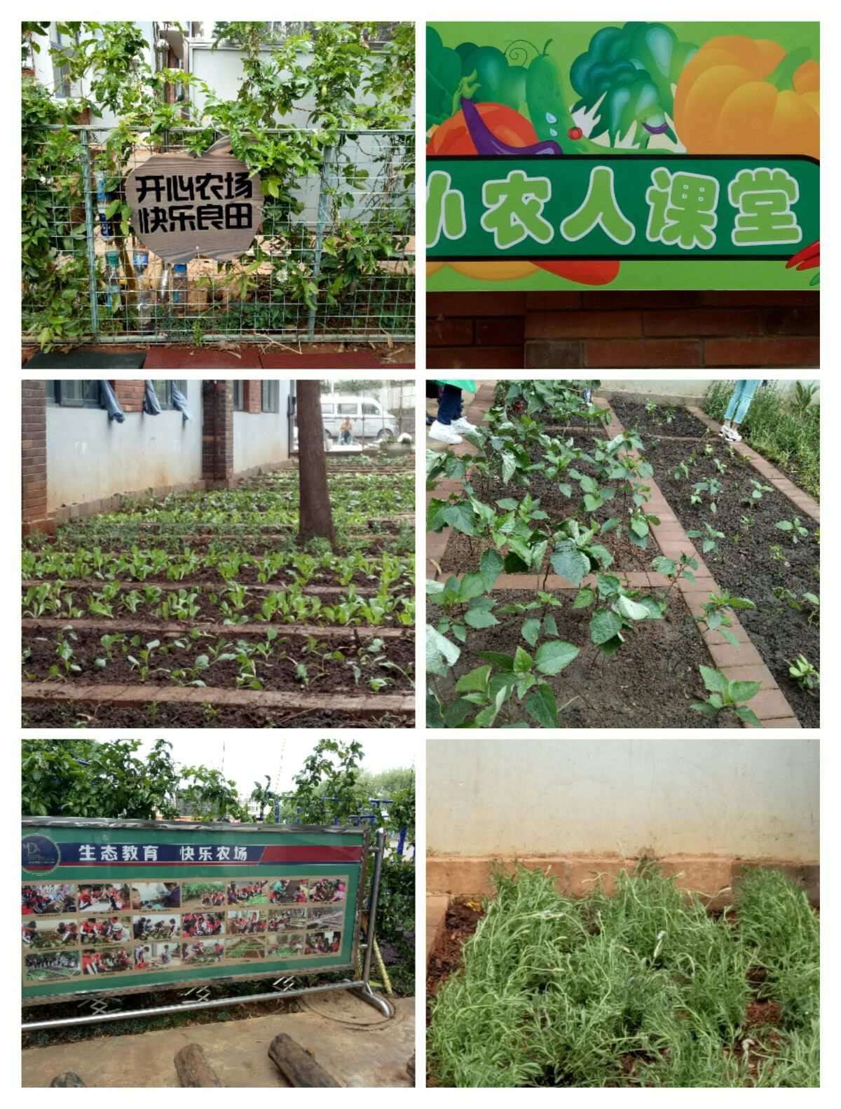 开心农场网页模板_开心网开心农场_开心农场网页游戏
