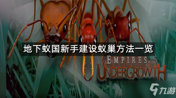下载安装地下蚁国要安装安装手机应用商店，下载