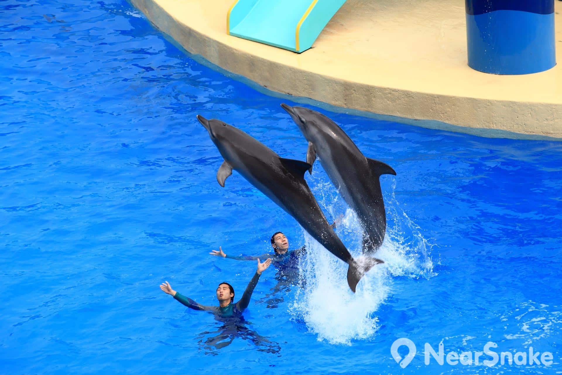 海豚听书app官方下载_海豚听书_海豚听书免费下载
