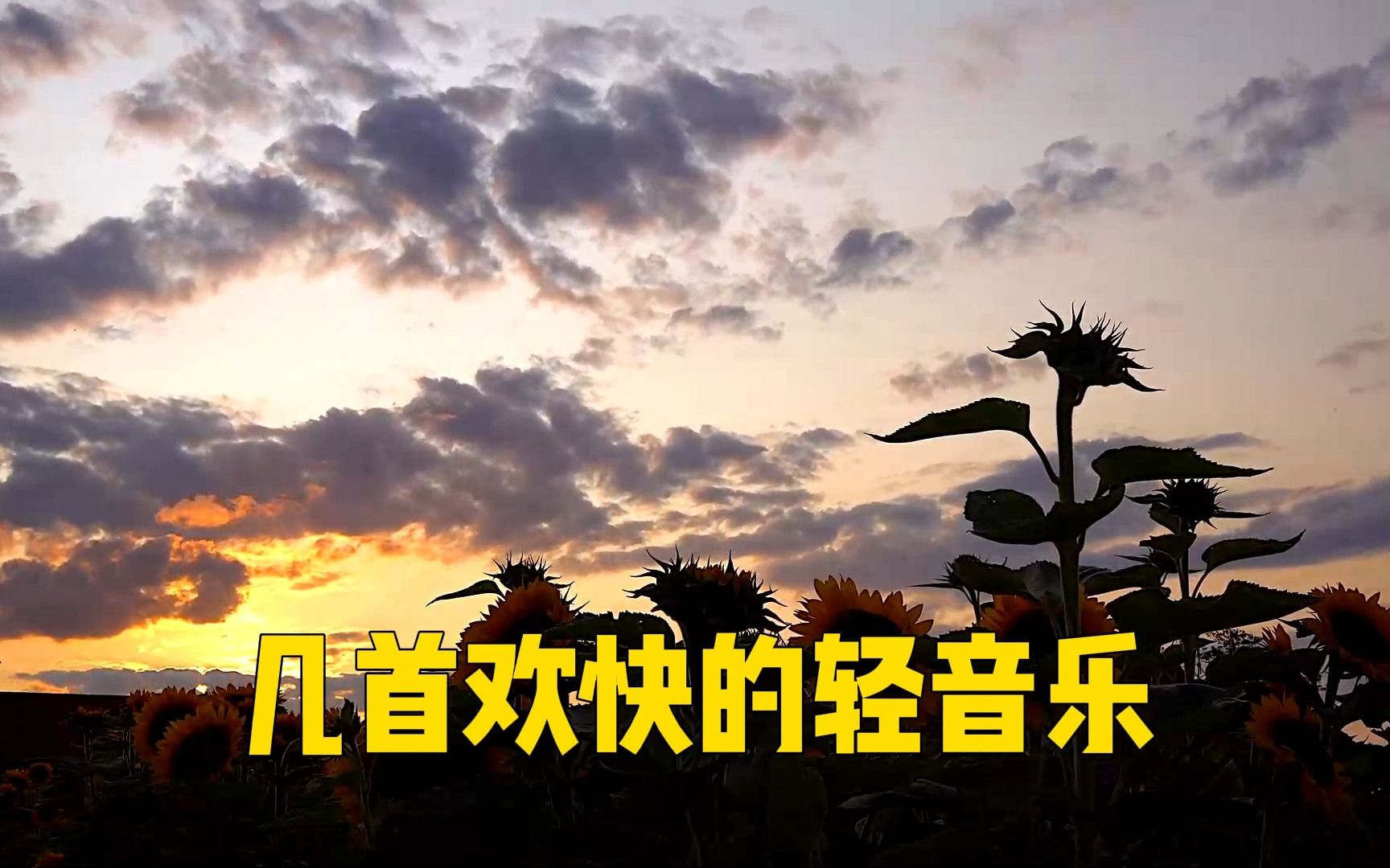 遇见音乐_遇见音乐下载免费版_遇见音乐app