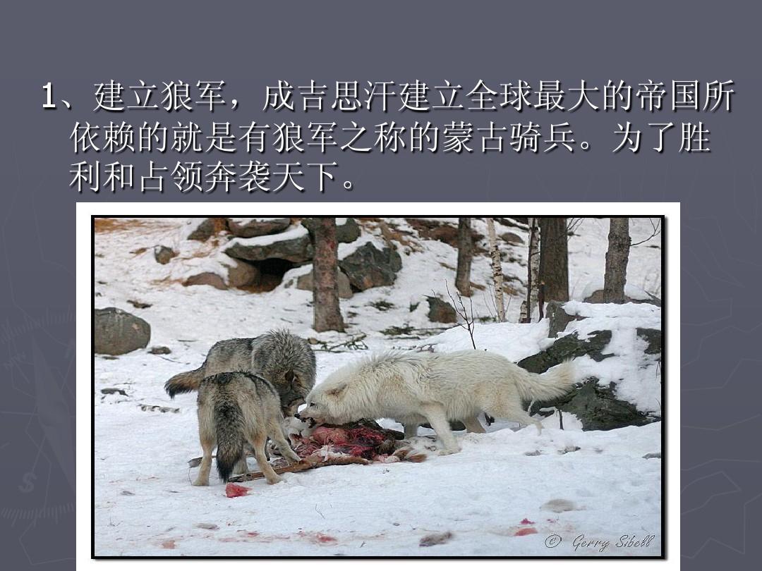 炉石狼骑兵_狼骑兵出动_狼骑兵