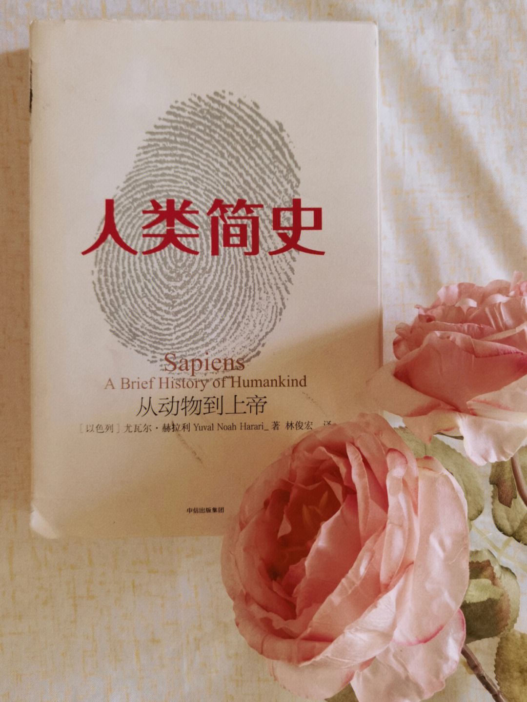 预言玩家版脚本_预言家怎么玩_预言玩家版