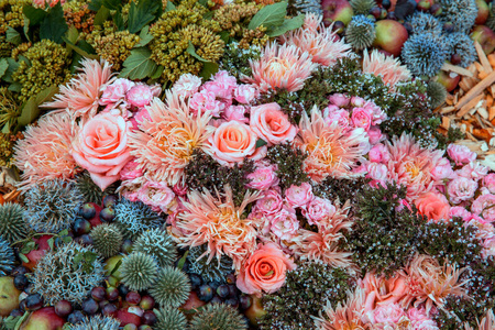 ios种花游戏_苹果手机 种花游戏_iphone种花游戏