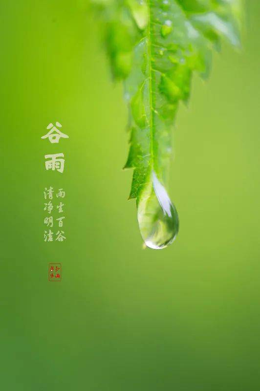 谷雨的传说-大地苏醒，谷雨传说