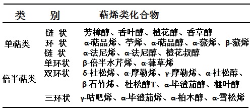 芳香打魔女术_魔封的芳香连锁魔法卡_魔封的芳香