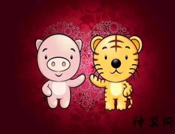 生肖是年初一还是立春_生肖是年份还是时辰_2026年是什么生肖