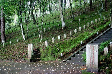神宫寺寂雷养子怎么了_神宫寺寂雷为什么这么多人_神宫寺寂雷