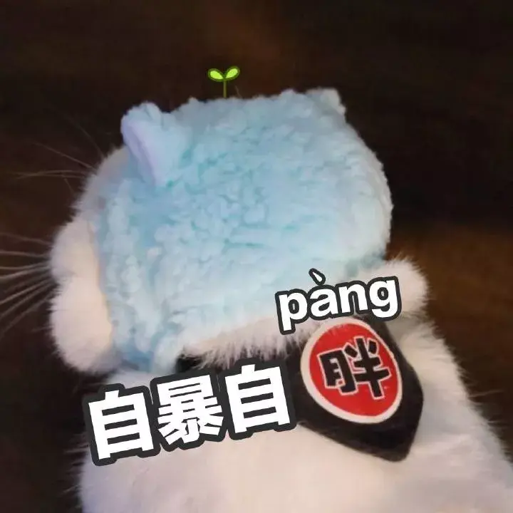 聊天图片手机游戏怎么制作_聊天图片app叫什么_手机聊天图片游戏
