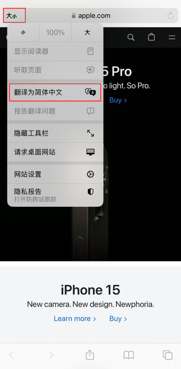 苹果设置139邮箱怎么设置_苹果设置139邮箱_苹果13id怎么设置