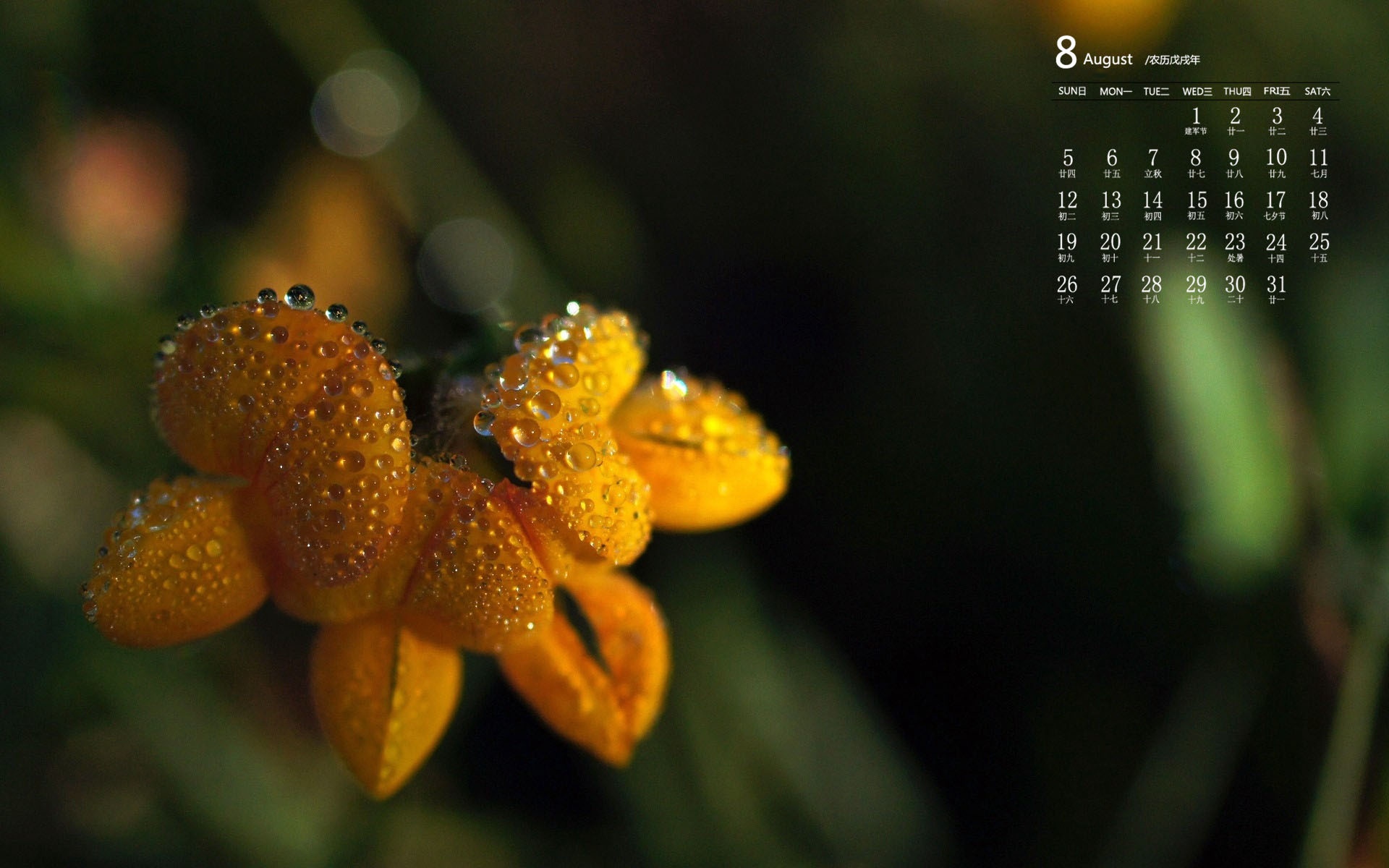 日历月和自然月的区别_日历月份_8月日历