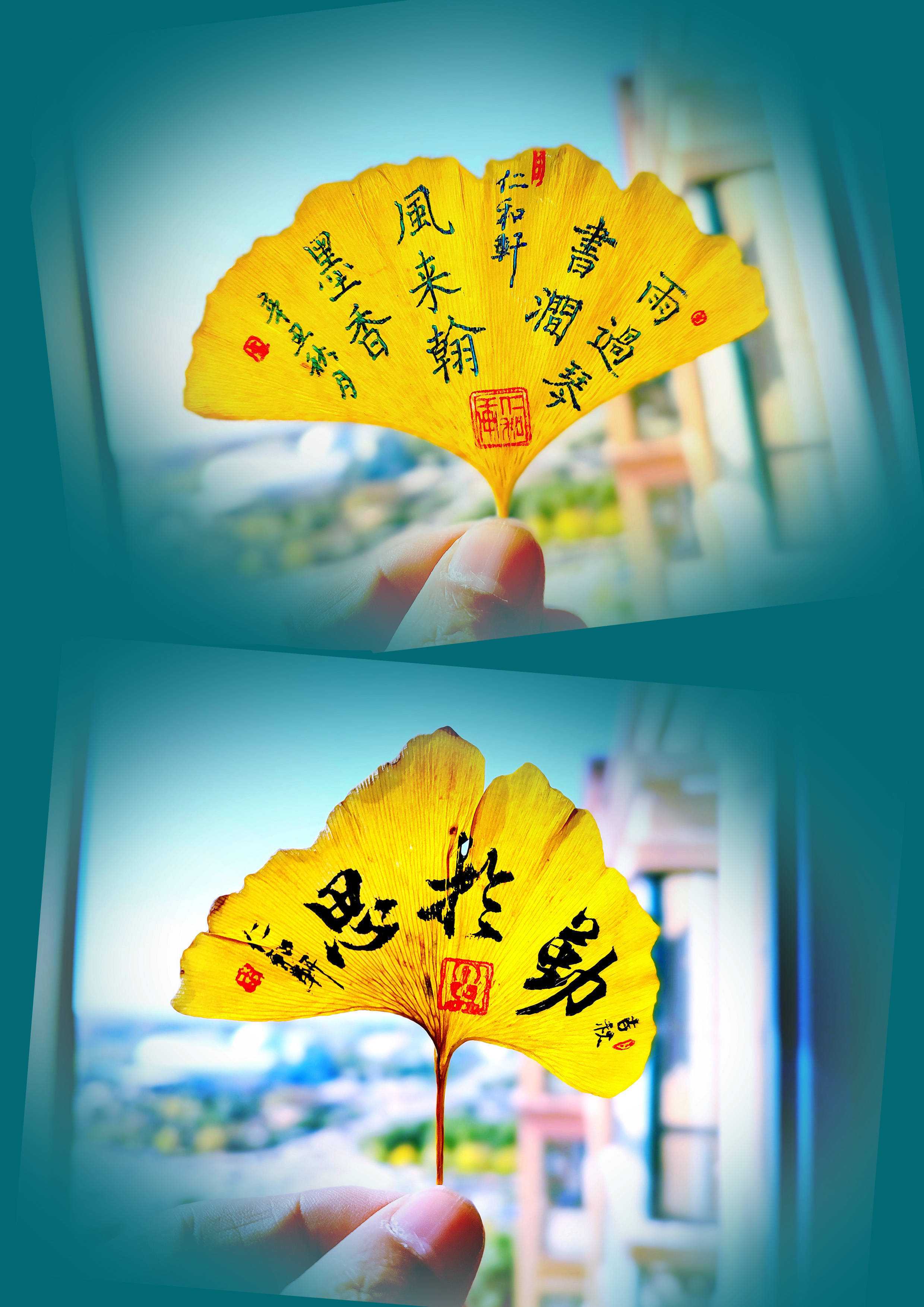 月之美兔_月之美兔_月之美兔