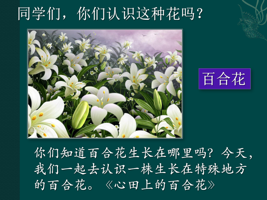 铃科百合子_铃科百合子头像高清_铃科百合子并不想成为英雄