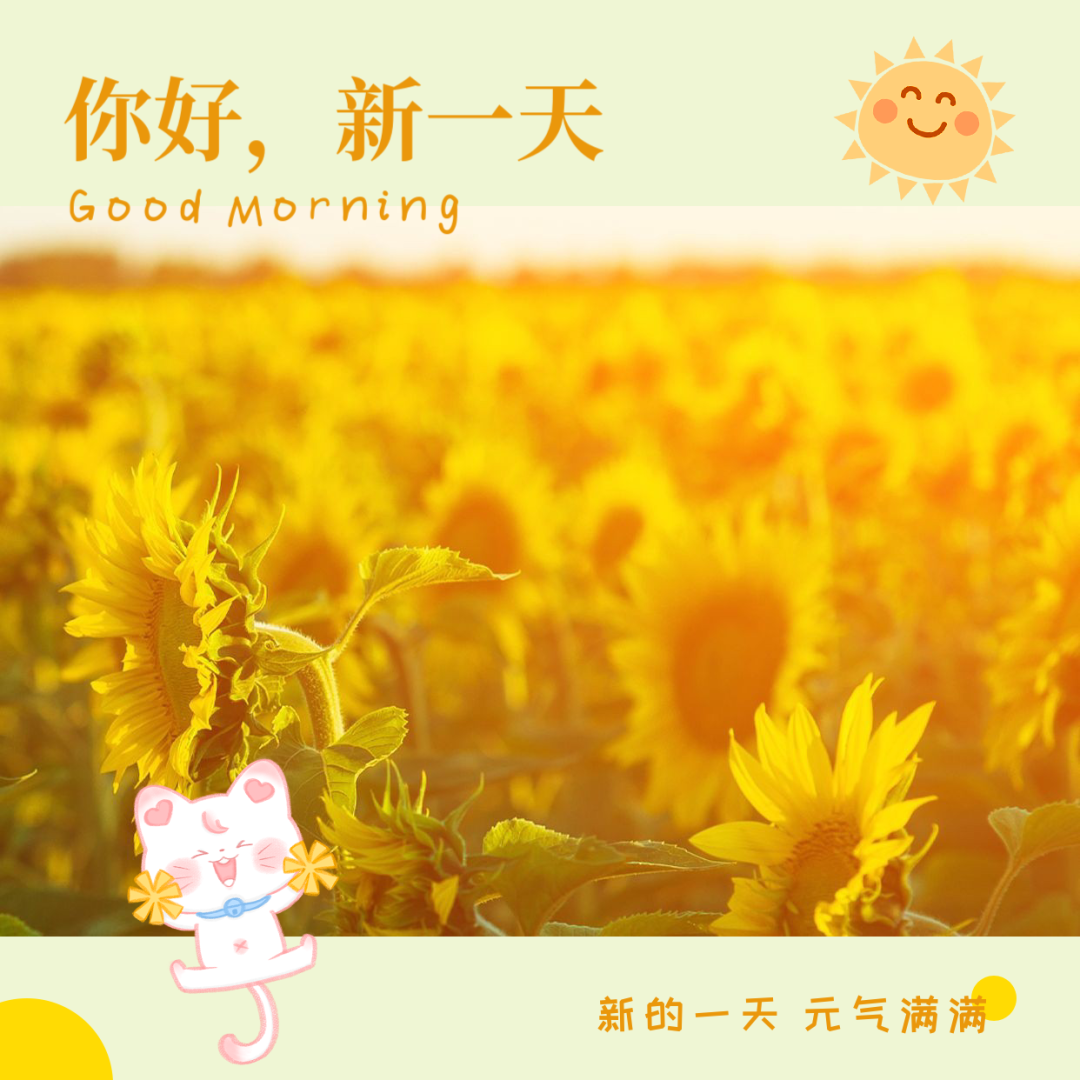 手机蜂窝游戏_游戏蜂窝安卓_游戏蜂窝apk
