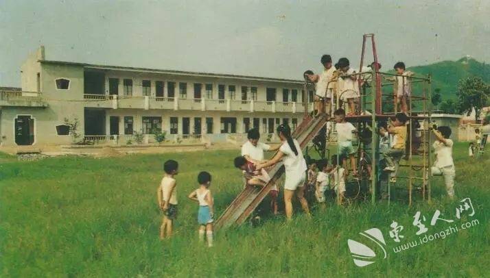 辛卯年是几几年_辛卯年是哪一年_辛卯年什么意思
