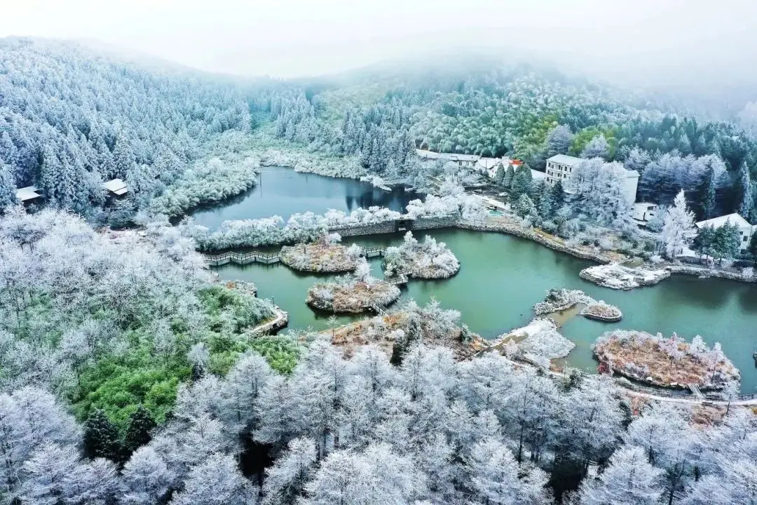 香霖堂_香霖堂_香霖堂