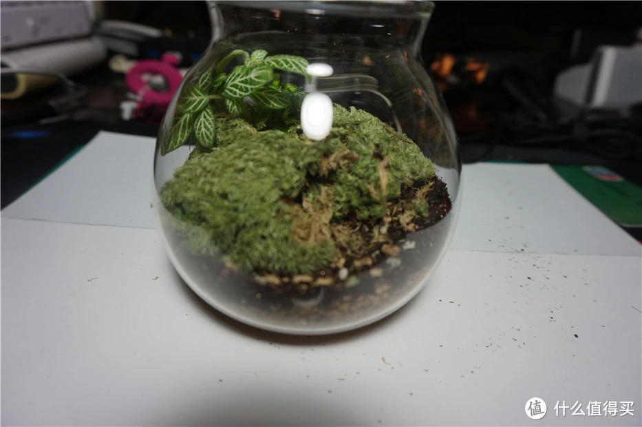 纳米虫：微观世界的明星，健康与科技的未来之星