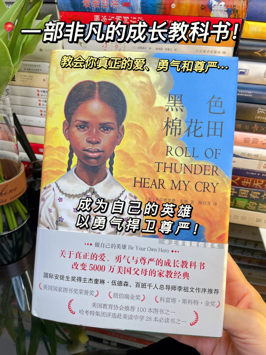 对峙2_对峙怎么读_对峙的意思