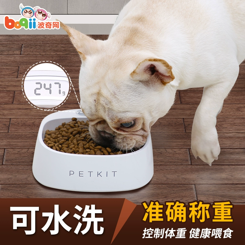 宠物游戏排行榜_宠物游戏大全_宠物大全游戏手机版