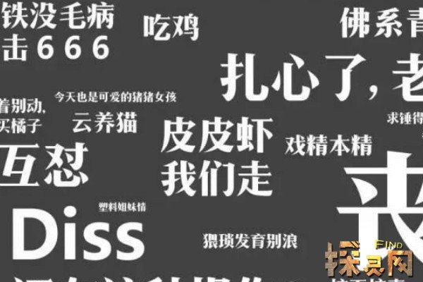 网络语言是指_语义网络说_六个一是什么意思网络语言