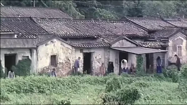 米龙飞舅舅遗容_米的舅舅是谁_长方形菜地的长是5米宽是4米