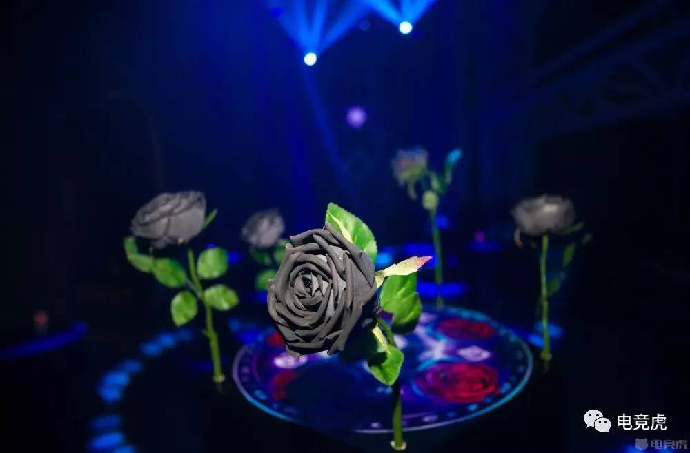 我想知道穿越火线里面的玫瑰_穿越火线动画夜玫瑰_穿越火线夜玫瑰