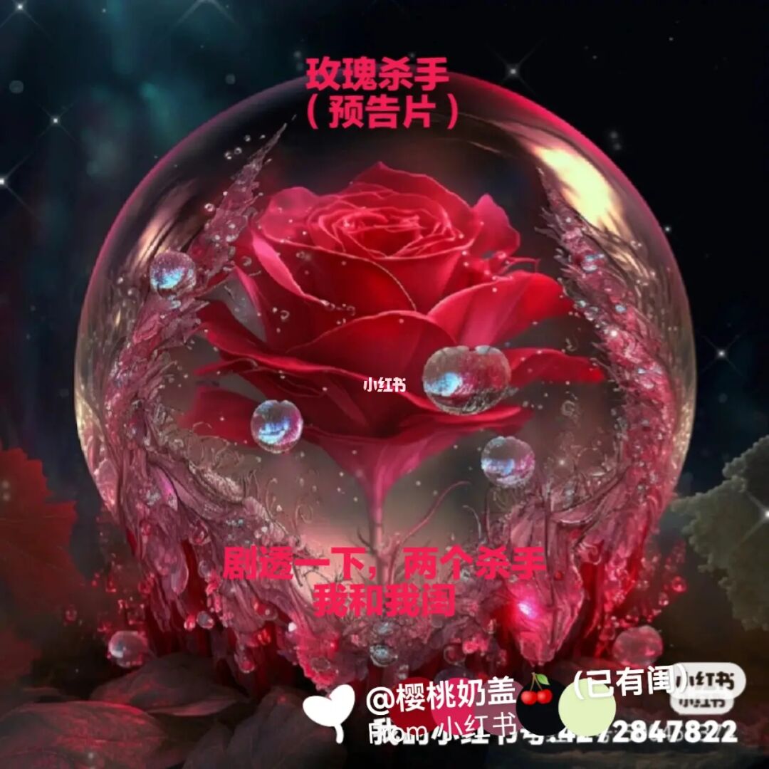 穿越火线夜玫瑰_我想知道穿越火线里面的玫瑰_穿越火线动画夜玫瑰