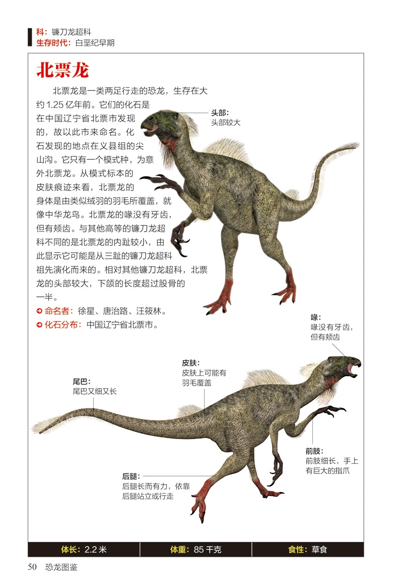 码童信通_码码通_码通信通