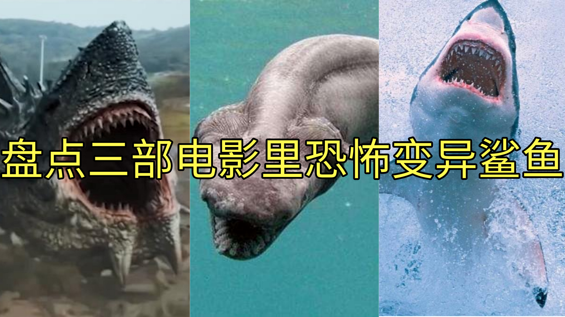 神秘生化岛：疯狂实验揭开迷雾