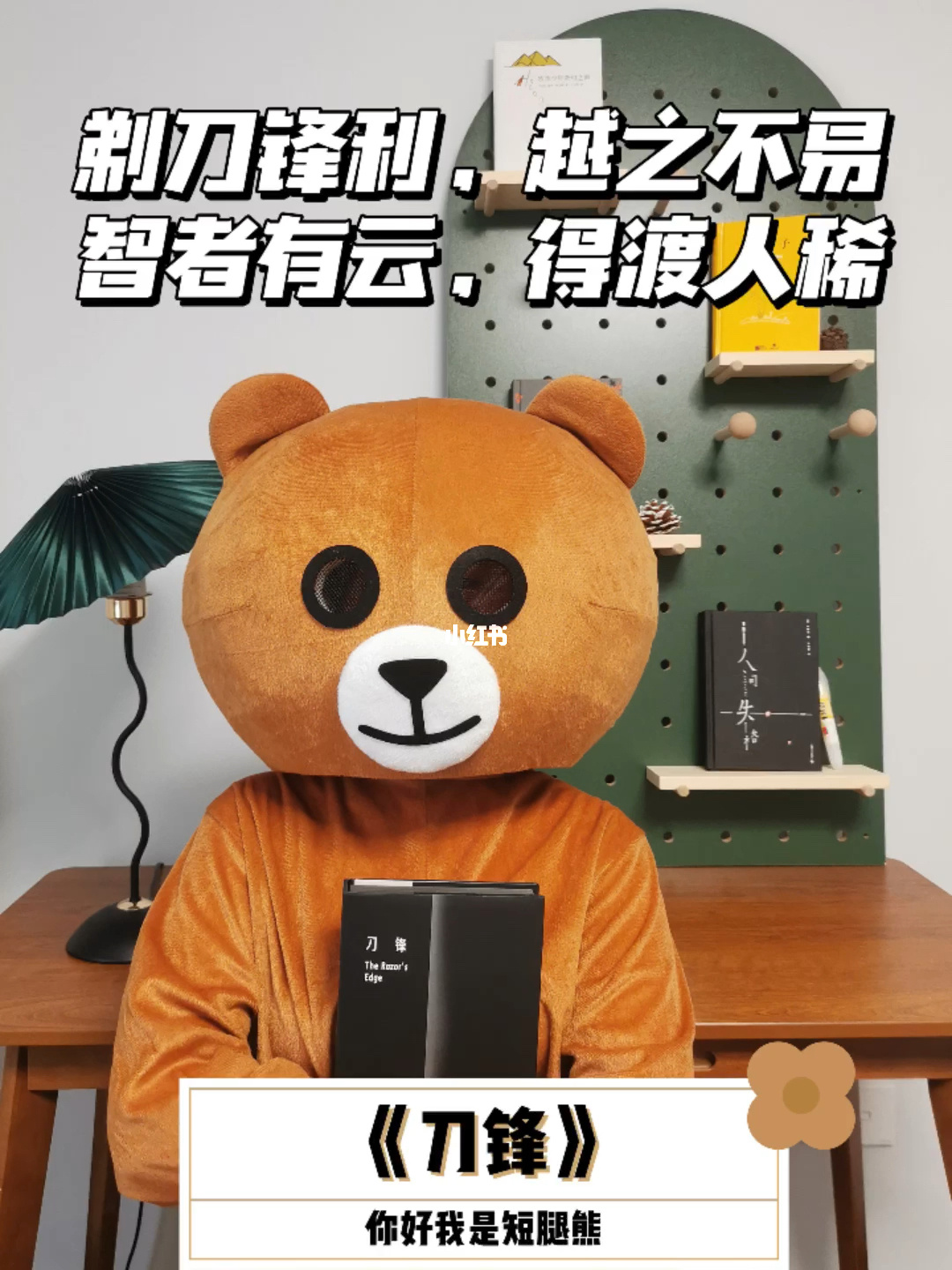 梅尔蒂_梅尔蒂q梅洛马格结局_梅尔蒂斯探索