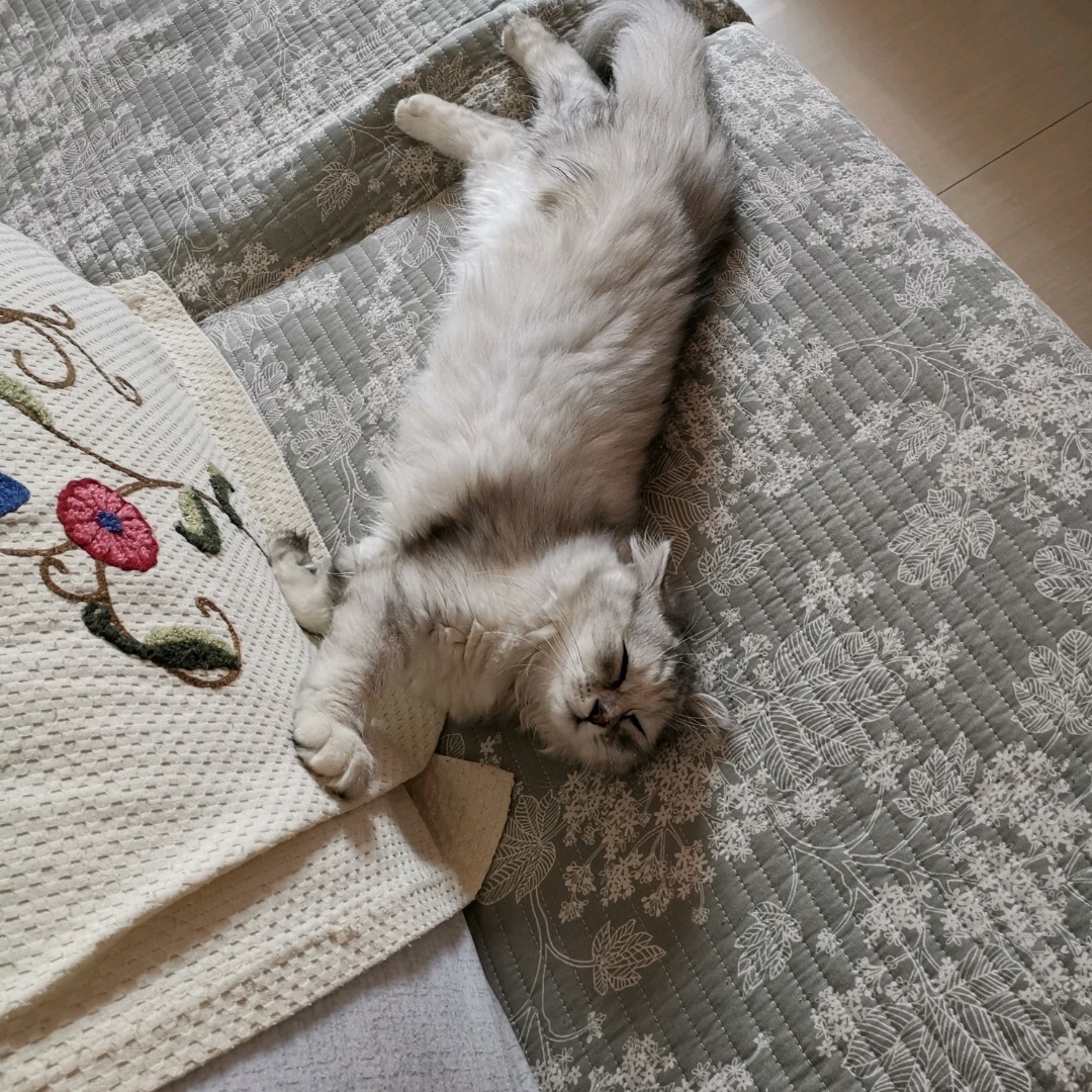 高渐离简介_高渐离与栎阳公主_高渐离