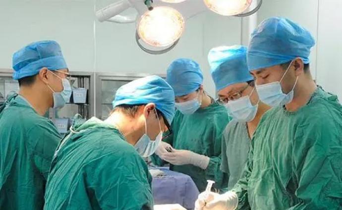 怪医黑杰克的诞生_怪医黑杰克的cp_怪医黑杰克