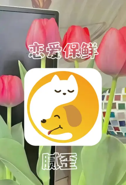 情侣建房子手机游戏软件_情侣玩的可以建造房子的游戏_情侣建房子的游戏