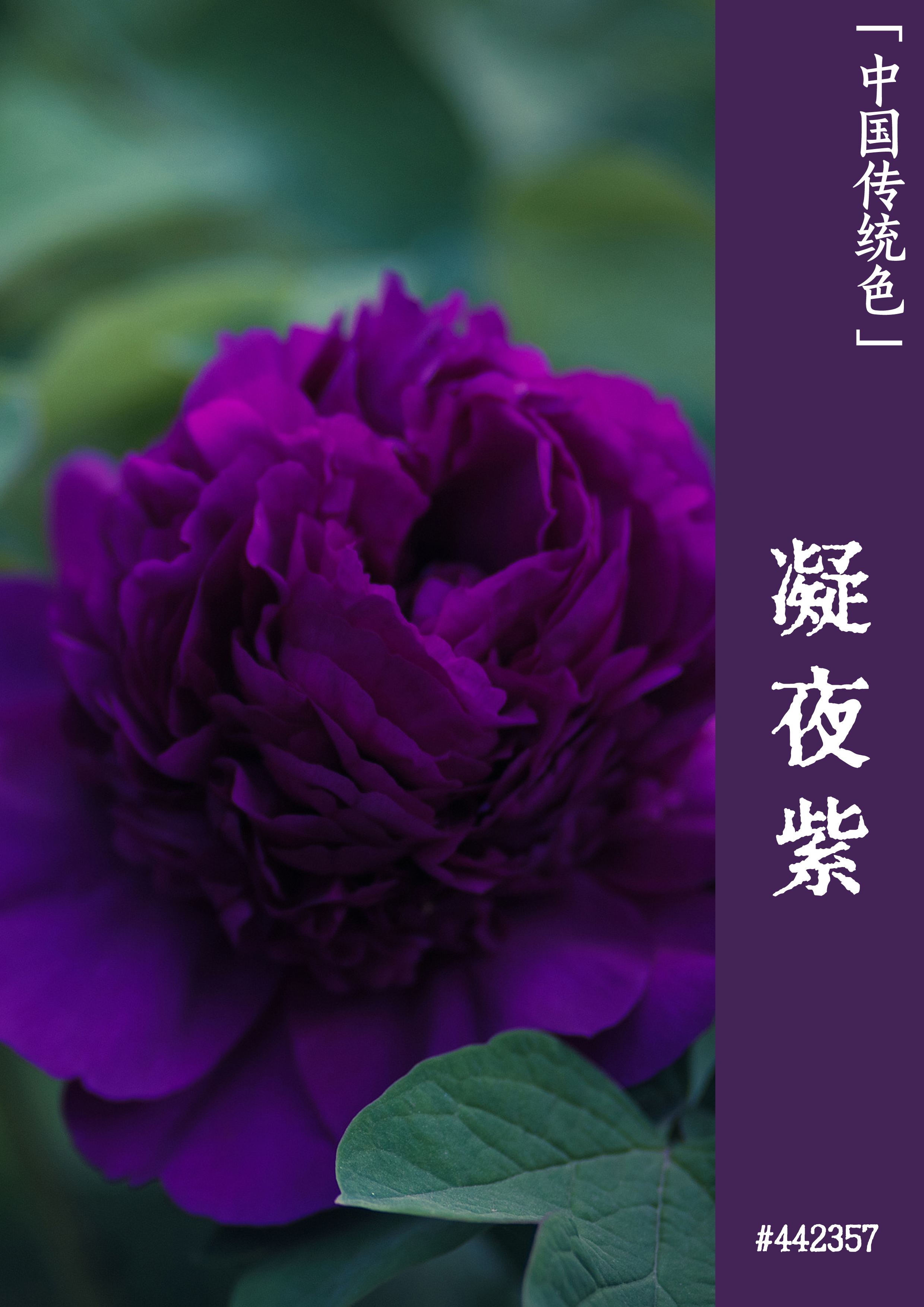 iphone碎屏换屏多少钱_苹果屏幕碎了换屏幕_苹果13屏幕碎了换屏幕要多少钱