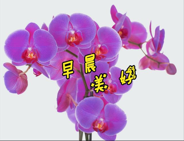 几号到几号是中旬_5月中旬是几号到几号_月中是几号到几号