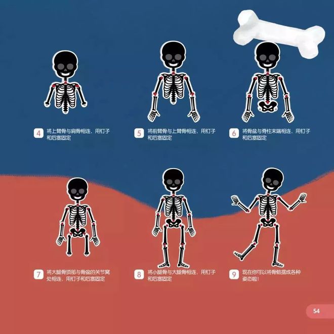 认识人体手机游戏教案_幼儿园科学教育认识人体的教案_认识人体教案幼儿