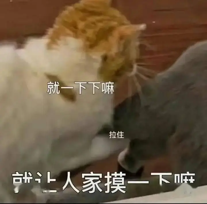 探秘微信隐藏表情，发现有趣的表情世界