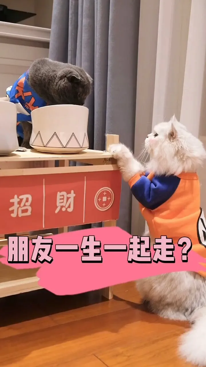 一个拥抱一个微笑是什么歌_拥抱微笑_拥抱微笑歌是谁唱的