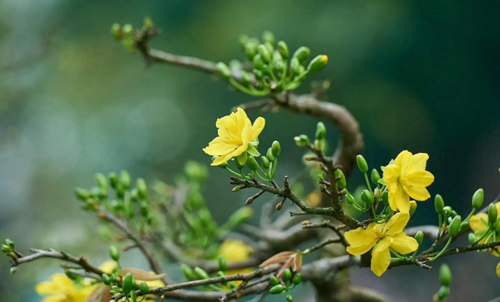 2020苹果手机游戏_苹果最贵的手机游戏_苹果手机良心游戏
