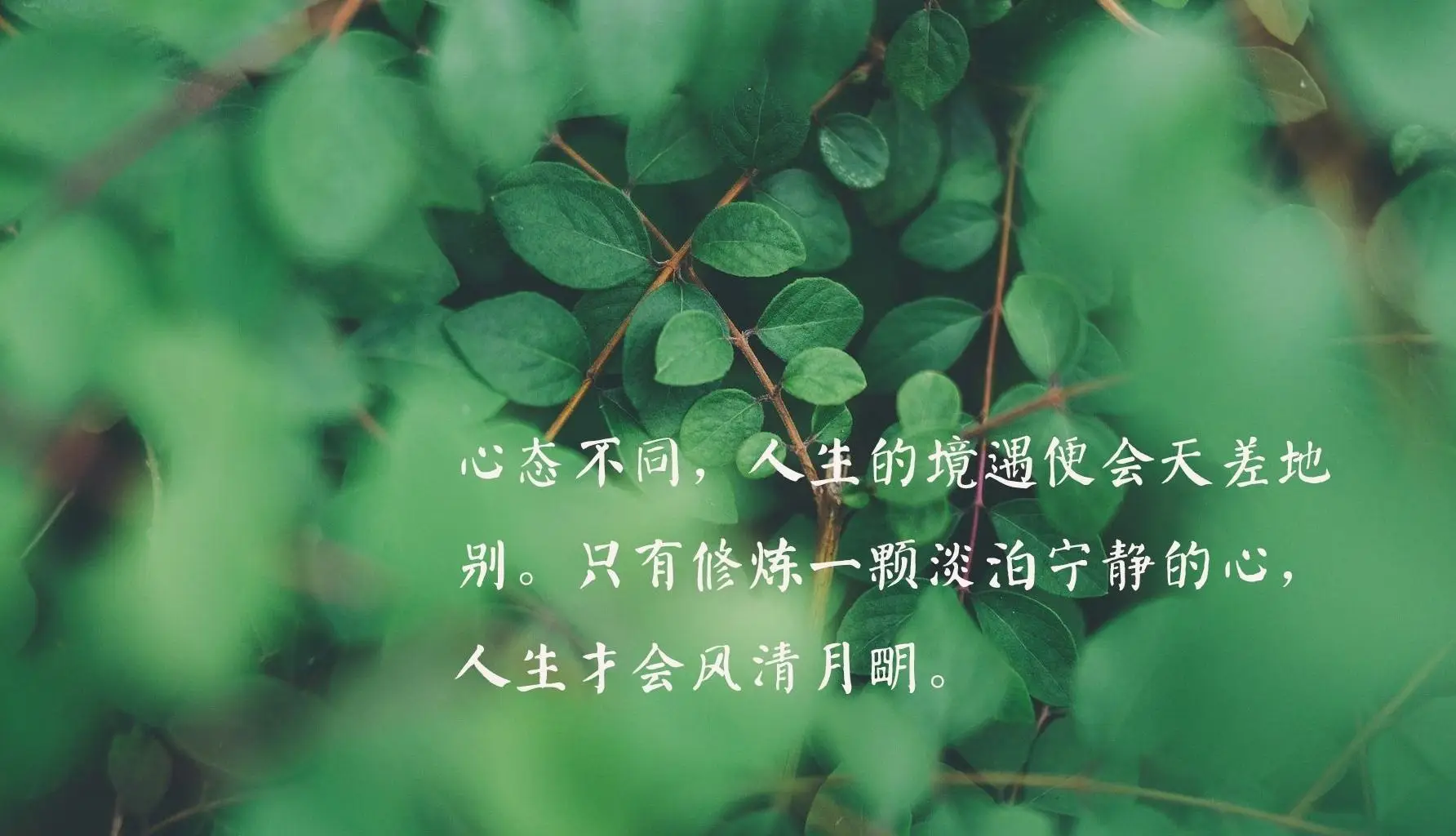 五四青年节意味着什么_五四青年节的意义_五四青年节日的意义