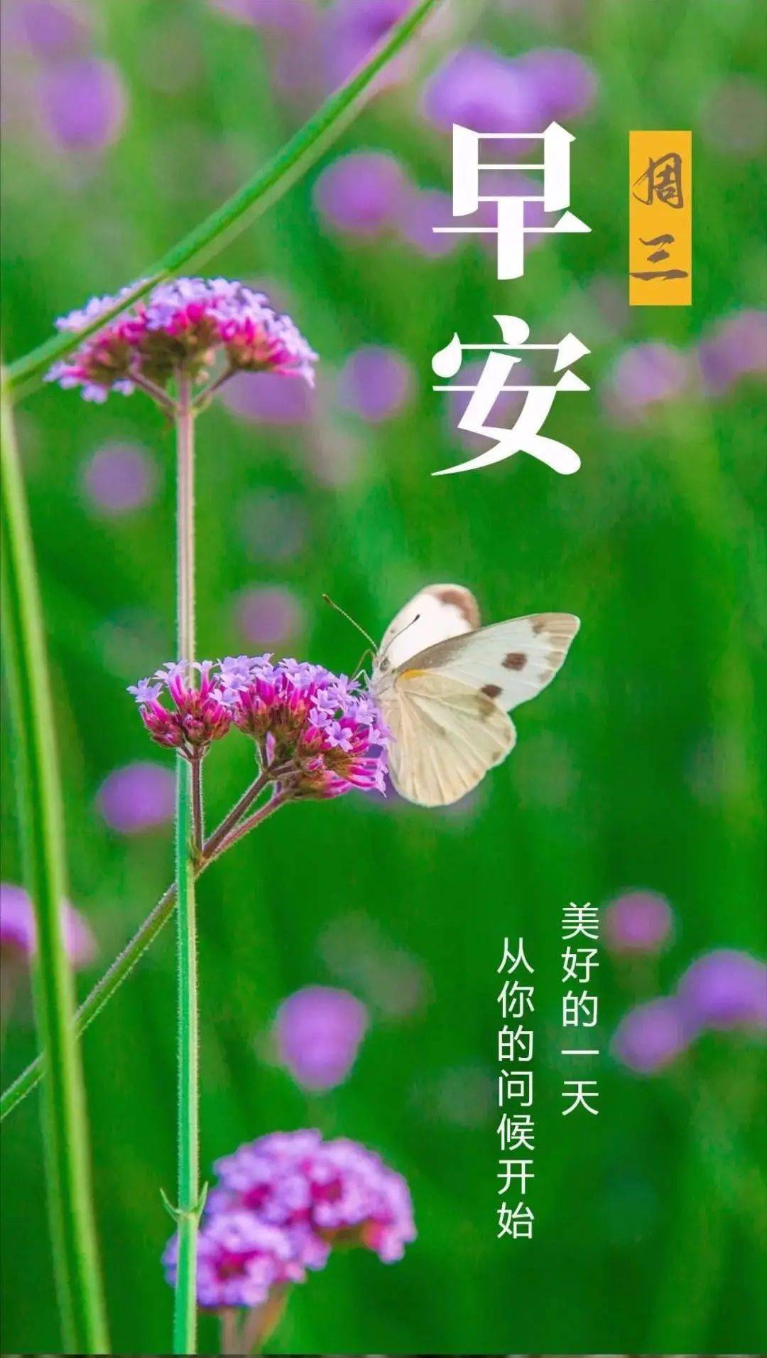 号脉怎么知道怀孕男女_号脉左右各代表什么脏腑_5月11号