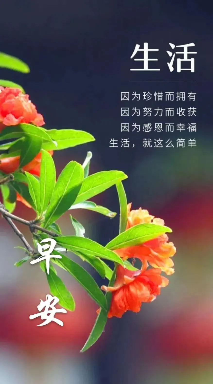 号脉怎么知道怀孕男女_号脉左右各代表什么脏腑_5月11号