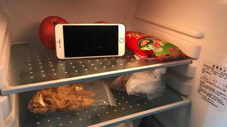 困困冰箱收纳_收纳手机冰箱游戏_收纳冰箱视频