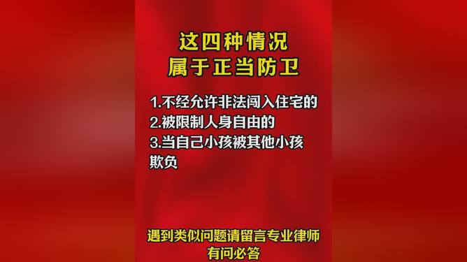 手机版正当防卫类似游戏_正当防卫类似的游戏_类似正当防卫的单机游戏