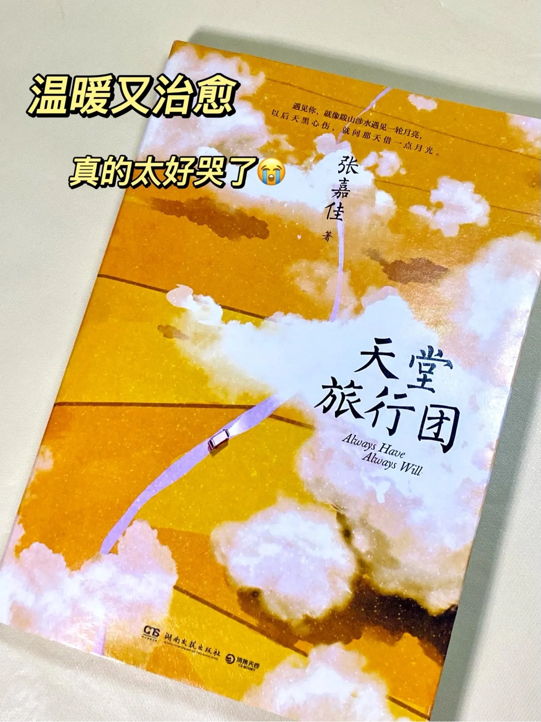 寺门通：追星少女的音乐魔法与心灵治愈之旅